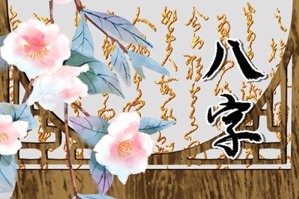 排盘报告阅读顺序